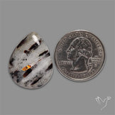 Astrophylite Cabochon
