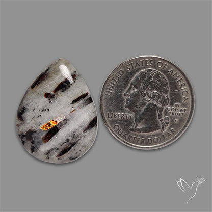 Astrophylite Cabochon