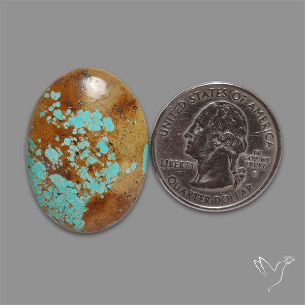 Number 8 Mines Turquoise Cabochon