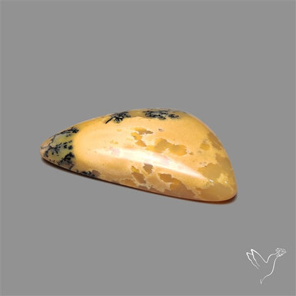 Australian Dendritic Agate Cabochon
