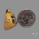 Australian Dendritic Agate Cabochon