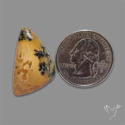 Australian Dendritic Agate Cabochon