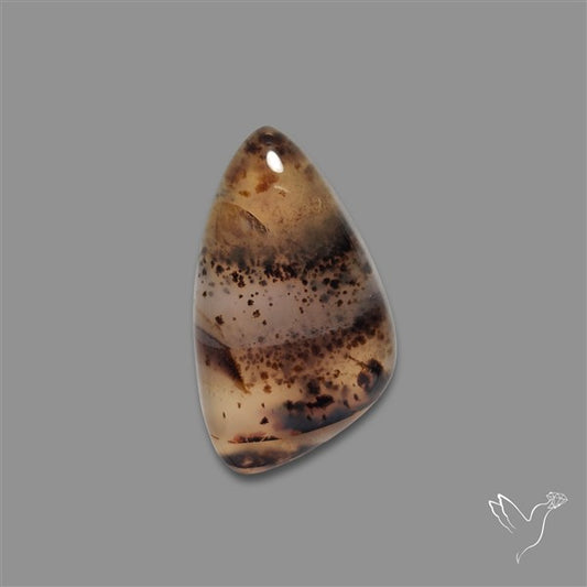 Montana Agate Cabochon