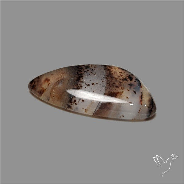 Montana Agate Cabochon