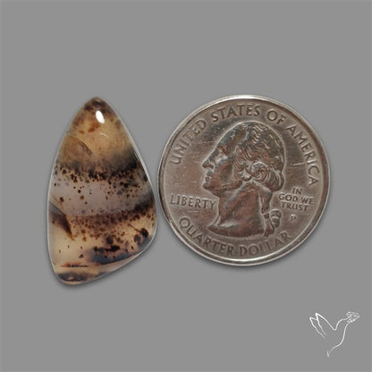 Montana Agate Cabochon