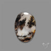 Scenic Agate Cabochon