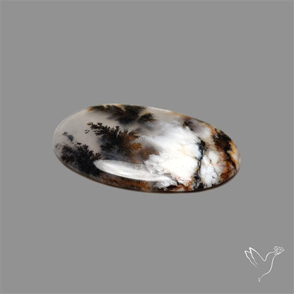 Scenic Agate Cabochon