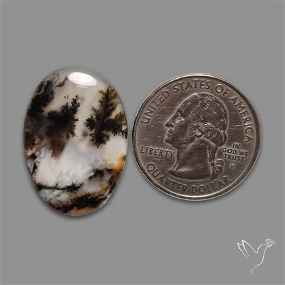 Scenic Agate Cabochon