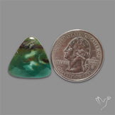 Larsonite Gary Green Jasper Cabochon