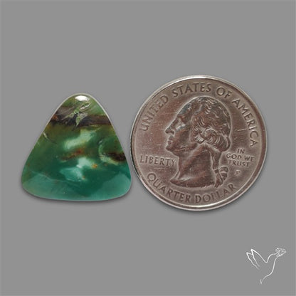 Larsonite Gary Green Jasper Cabochon