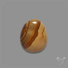 Wild Horse Picture Jasper Cabochon