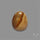 Wild Horse Picture Jasper Cabochon