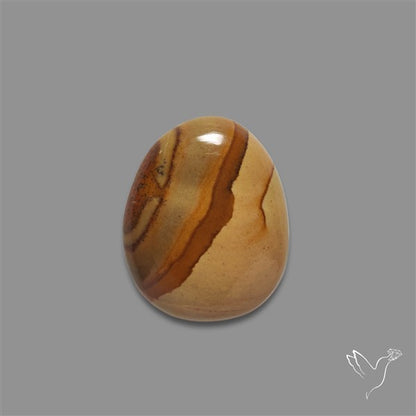 Wild Horse Picture Jasper Cabochon