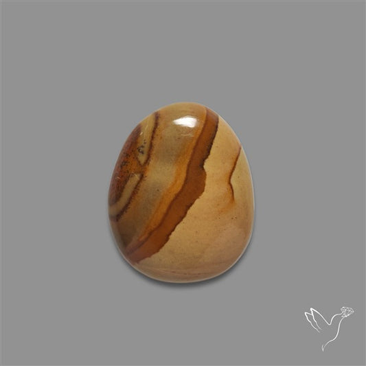 Wild Horse Picture Jasper Cabochon