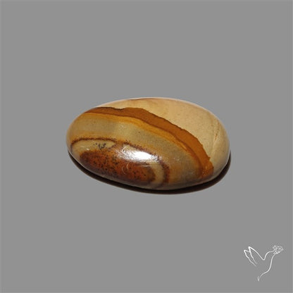 Wild Horse Picture Jasper Cabochon