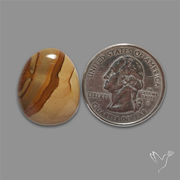 Wild Horse Picture Jasper Cabochon