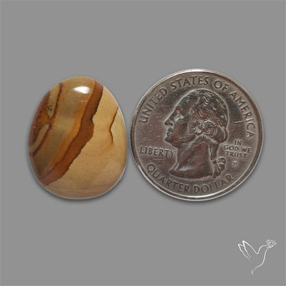 Wild Horse Picture Jasper Cabochon