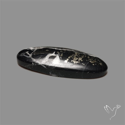 Chiffer Mit Pyrite Rare Cabochon