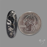 Chiffer Mit Pyrite Rare Cabochon