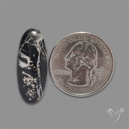 Chiffer Mit Pyrite Rare Cabochon