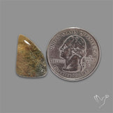 Golden Rutilated Lodolite Quartz Cabochon