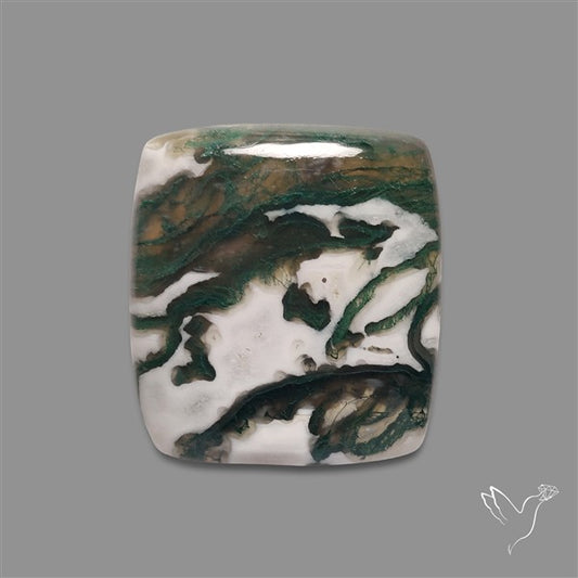Tree Agate Cabochon