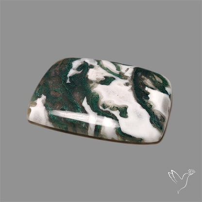 Tree Agate Cabochon