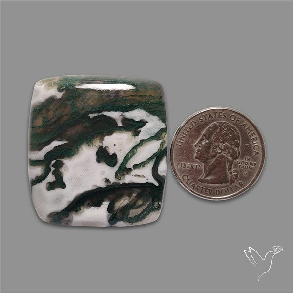 Tree Agate Cabochon