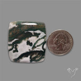 Tree Agate Cabochon