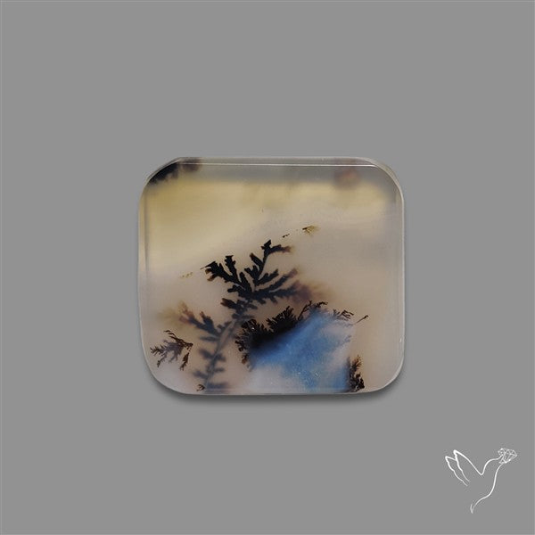 Scenic Agate Cabochon