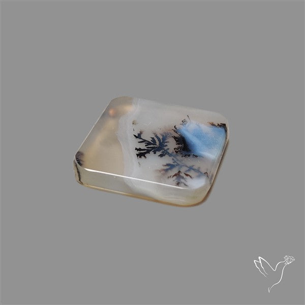 Scenic Agate Cabochon