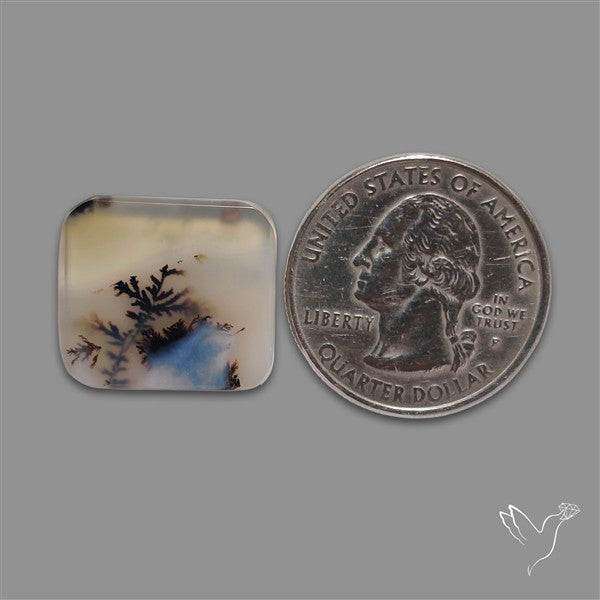 Scenic Agate Cabochon