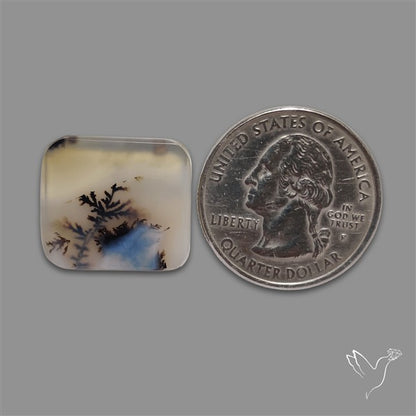 Scenic Agate Cabochon