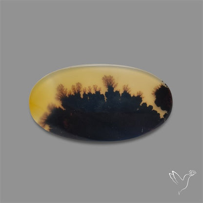 Scenic Agate Cabochon