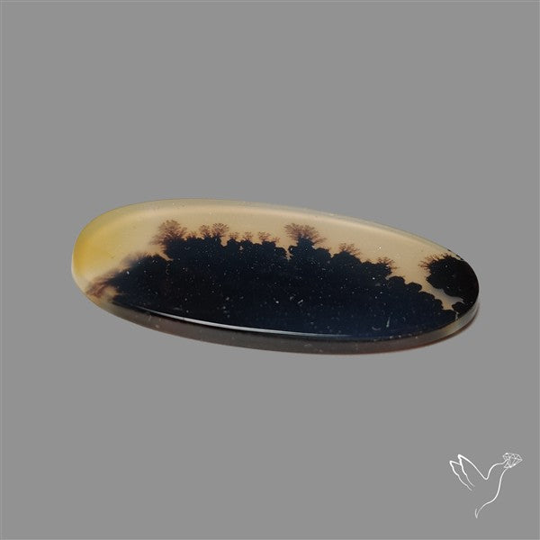 Scenic Agate Cabochon