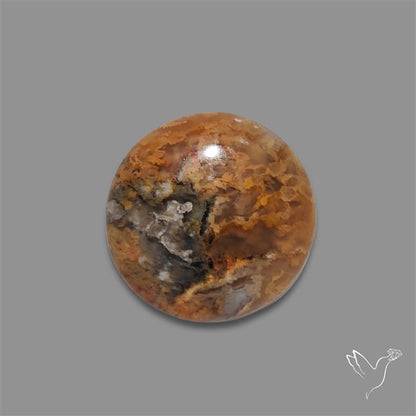 Northridge Plume Agate Cabochon