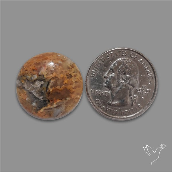 Northridge Plume Agate Cabochon