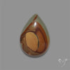 Wild Horse Picture Jasper Cabochon