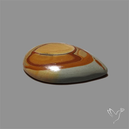 Wild Horse Picture Jasper Cabochon