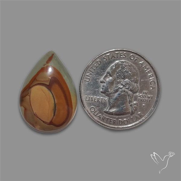 Wild Horse Picture Jasper Cabochon