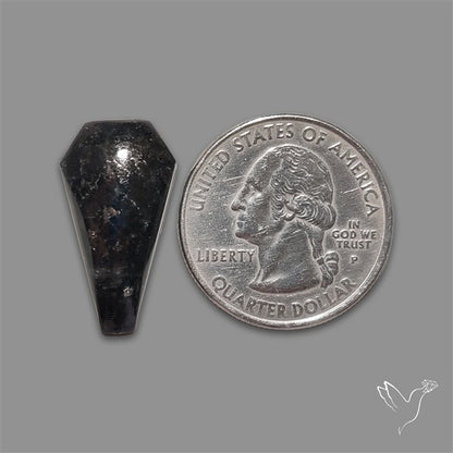 Coppernite Coffin Cabochon