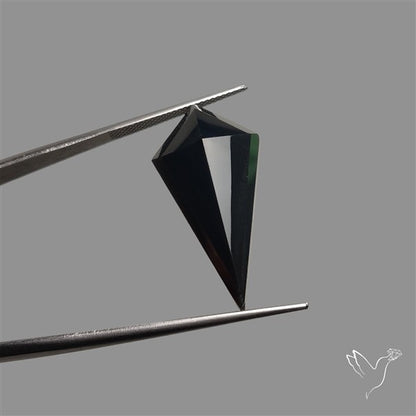 Step Cut Faceted Black Onyx Kite