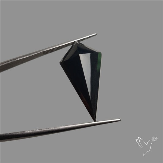 Step Cut Faceted Black Onyx Kite