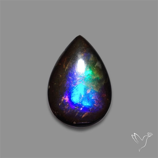 Rare Purple Ammolite Cabochon