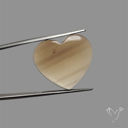Smoky Quartz Heart Cabochon