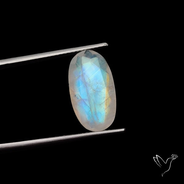 Rose Cut Faceted Rainbow Moonstone