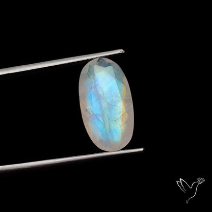 Rose Cut Faceted Rainbow Moonstone