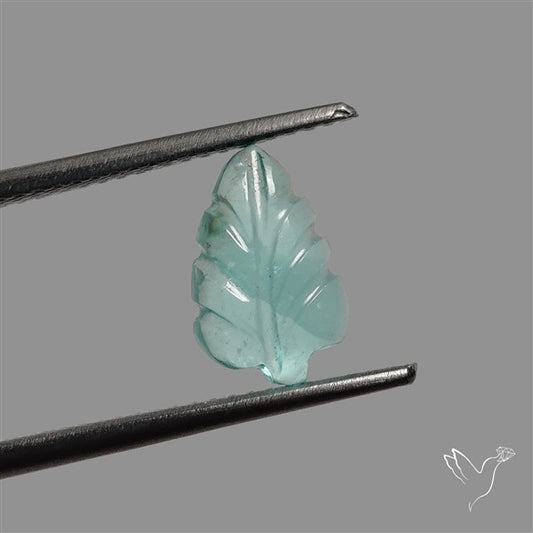 Paraiba Blue Apatite Leaf Carving