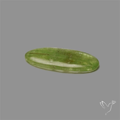 Mint Green Kyanite Cabochon