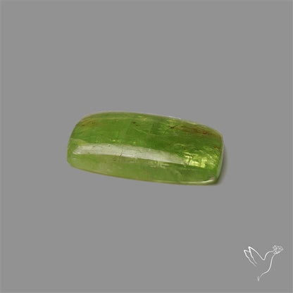 Mint Green Kyanite Cabochon